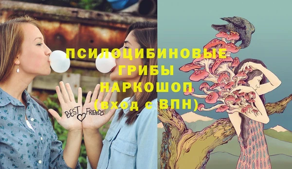 a pvp Инсар