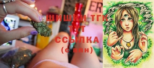 гашик Строитель