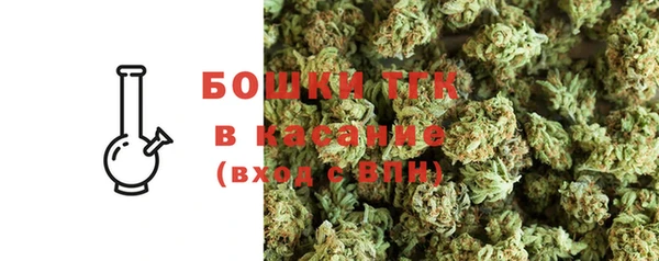 тгк Инта