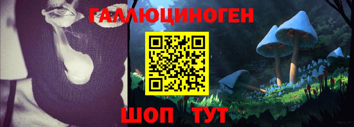 Галлюциногенные грибы Psilocybine cubensis  Вход с VPN  Камышлов 