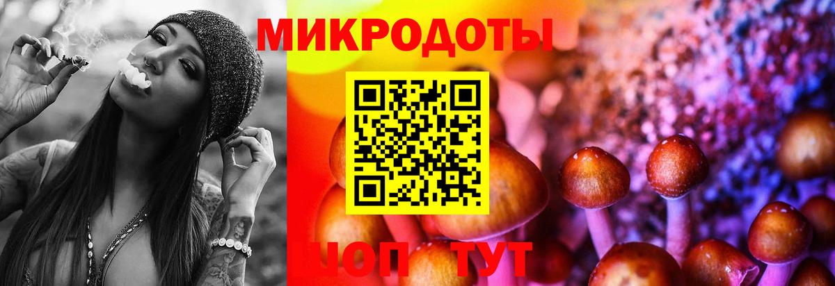 Псилоцибиновые грибы прущие грибы Камышлов